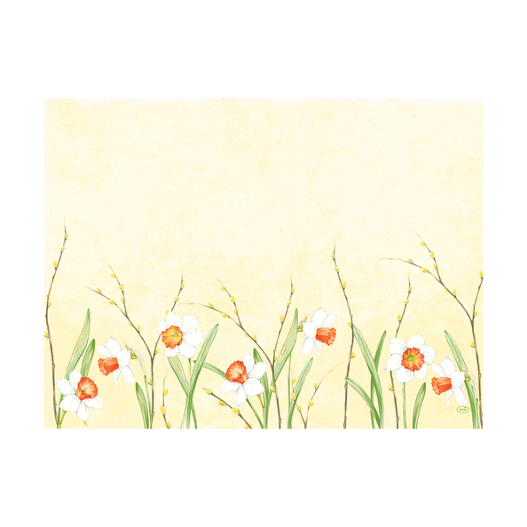 Duni placemats papier spring 30x40cm. pak 250 stuks