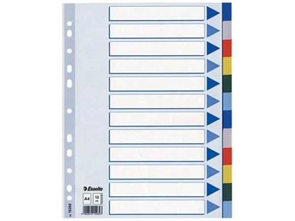Esselte tabbladen 12 tabs